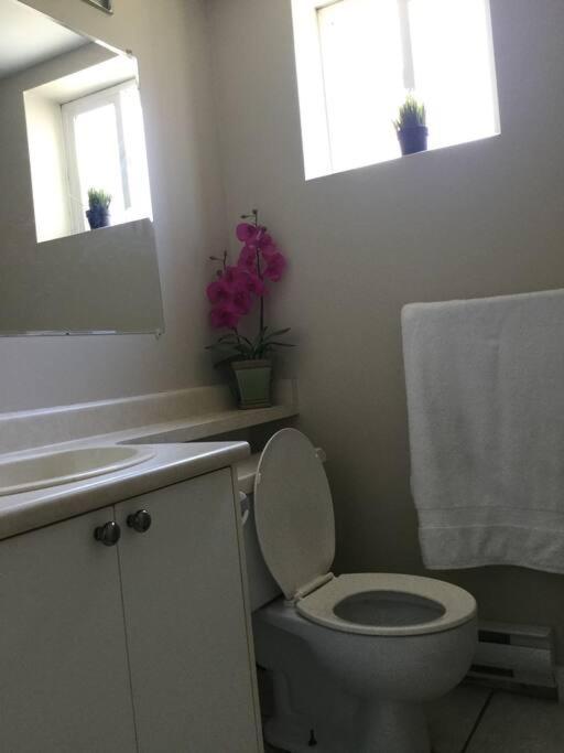 Cozy Suite Ванкувер Екстер'єр фото